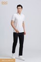 Anh Web sapbd17-07 Ảnh của Áo polo ngắn tay